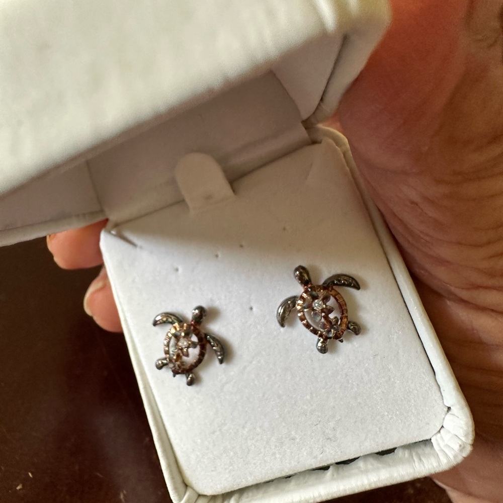 Turtle Post Earrings